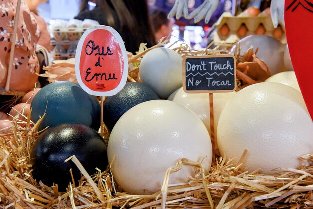 De grands œufs multicolores d'autruche se trouvent sur un nid artificiel de paille sur le marché alimentaire œufs ronds avec un nom