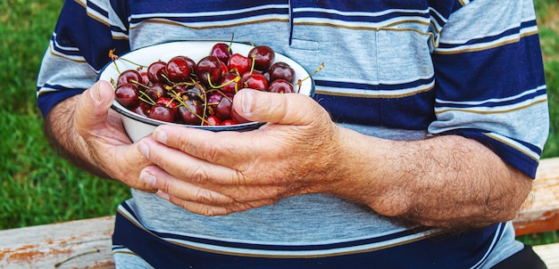 Les grands-parents nourrissent l'enfant avec des cerises.focus sélectif.