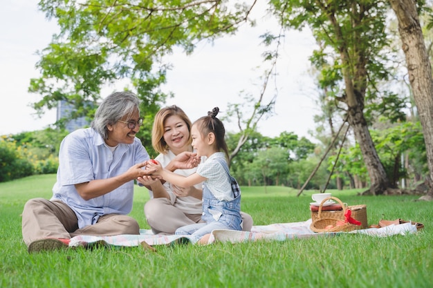 Grands-parents et petits-enfants asiatiques ayant un moment heureux profiter d'un pique-nique ensemble dans l'herbe verte du parc en plein air en été