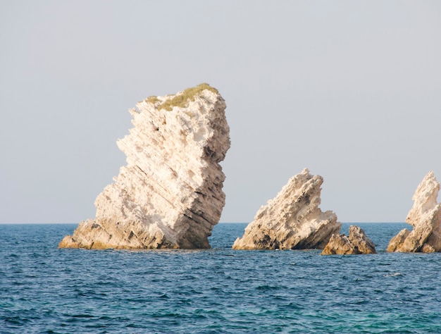 Grands récifs dans la mer