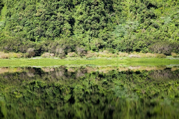 Grang Etang à La Réunion