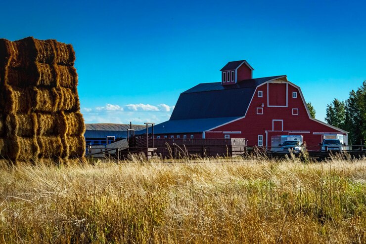 Photo la grange sur le champ contre le ciel bleu