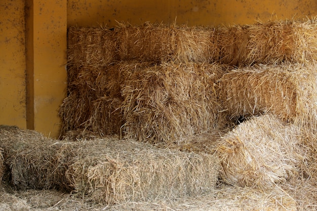 Grange en paille dorée empilée