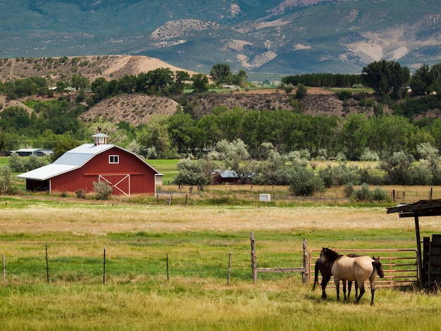 Grange rouge à la ferme à Grand Junction, Colorado.