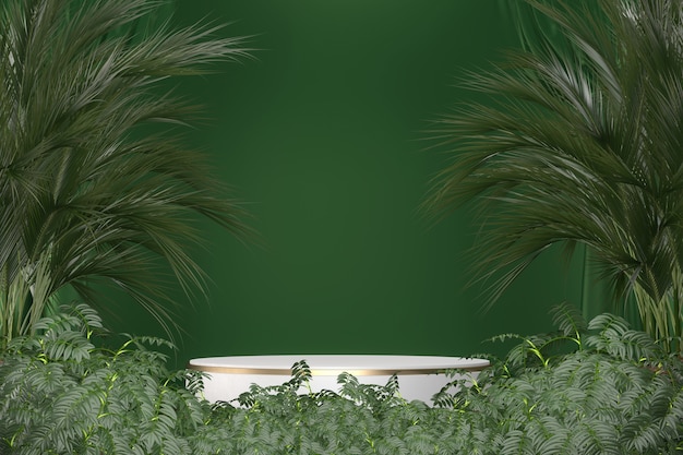 Granit Tropical vert Podium géométrique et décoration de plantes sur fond noir rendu .3D