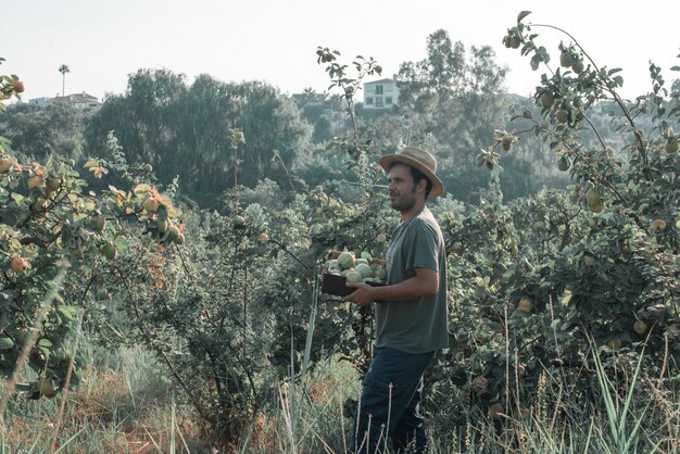 Granjero visualizando el campo en el cultivo