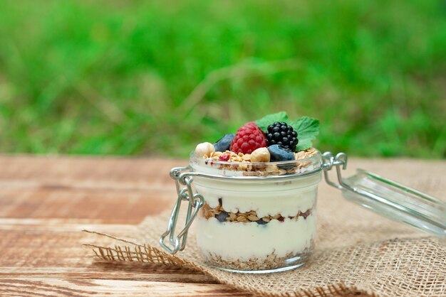 Photo granola au yogourt et framboises fraîches, myrtilles et mûres