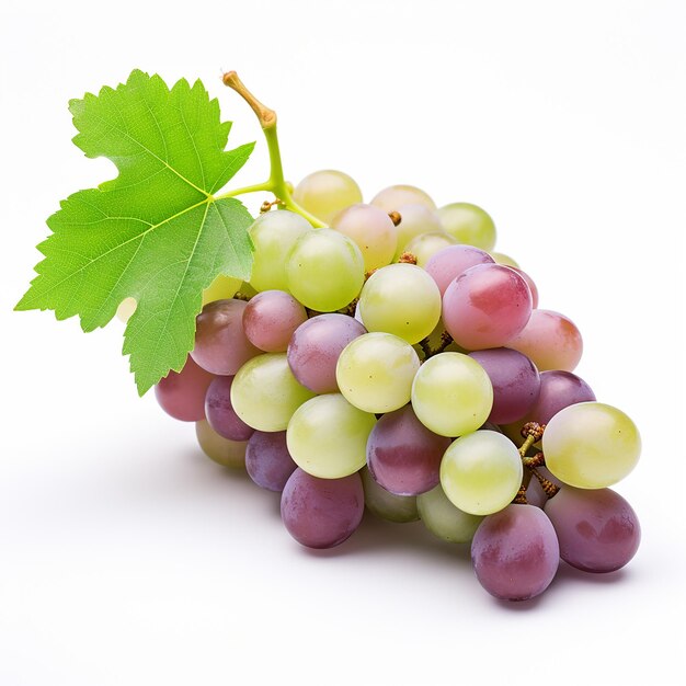 Photo grapes à haute résolution sans réflexion sur fond blanc