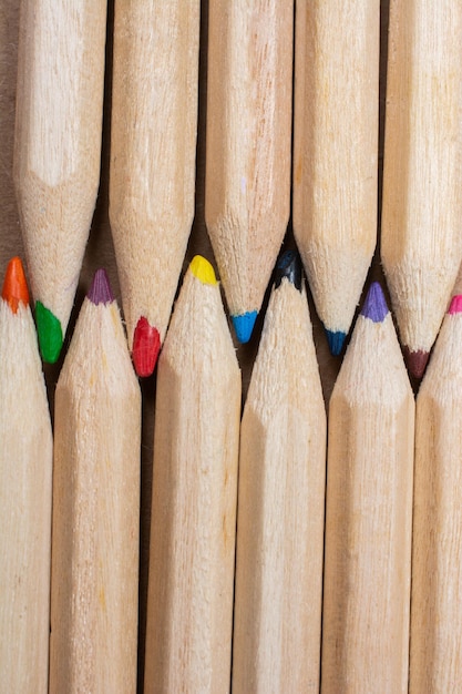 Grappe de crayon avec corps en bois et pointes colorées