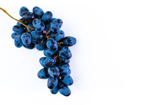 La grappe de raisin bleu foncé sur fond blanc