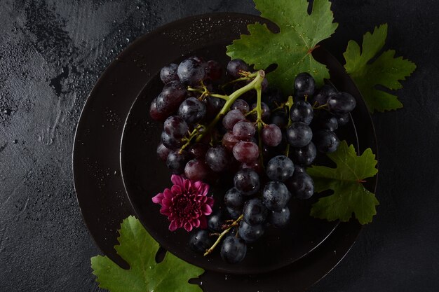 Grappe de raisin bleu foncé/noir avec des feuilles sur fond noir