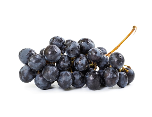 Grappe de raisin noir avec des gouttes d'eau isolé sur fond blanc