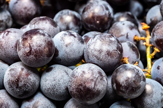 Grappe de raisin noir mûr sur une plaque blanche