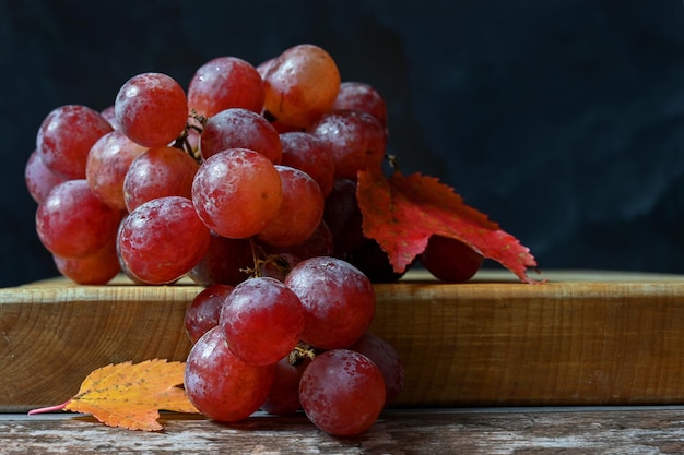 Grappe de raisin rose sur fond sombre