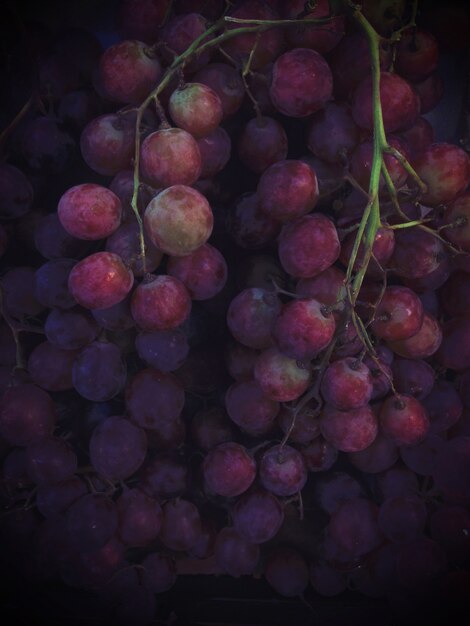 Grappe de raisin rouge prêt à manger, fond de fruits sains