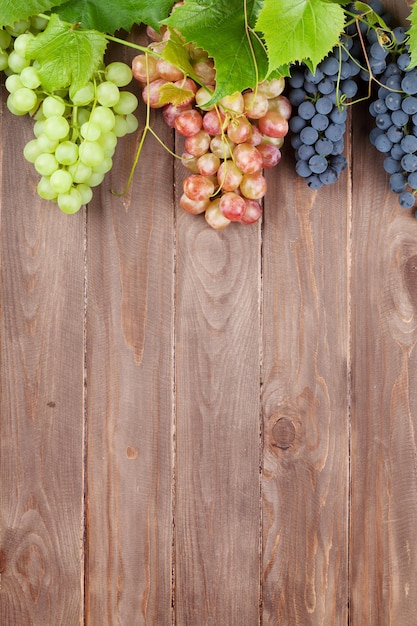 Grappe de raisins colorés avec des feuilles