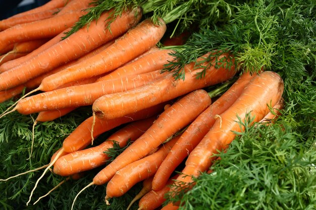 Des grappes de carottes fraîches en gros