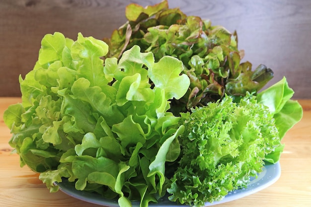 Photo des grappes de chêne vert frais, de chèvre rouge et de laitue d'iceberg frillice