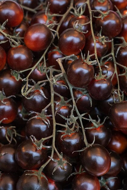 Grappes de fond de légumes tomates cerises au chocolat frais