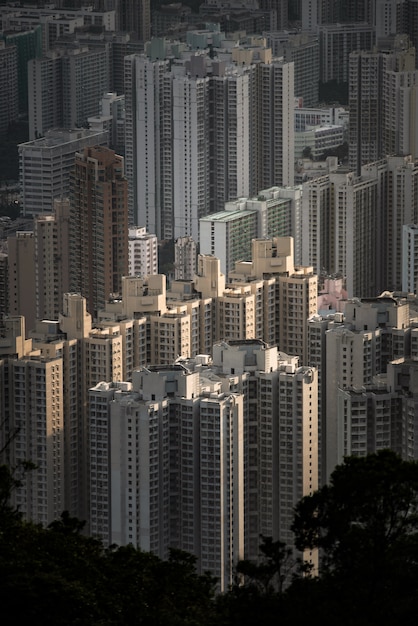 Gratte ciel, bâtiment, ville, hong kong