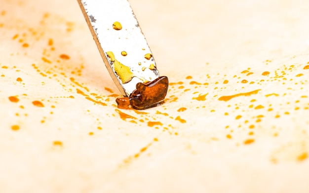 Photo grattez la cire de cannabis dorée du papier parchemin avec un outil tampon.