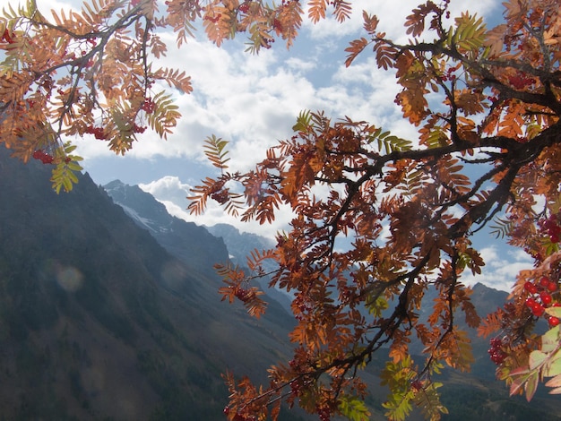 La grave hautes alpes FRANCE