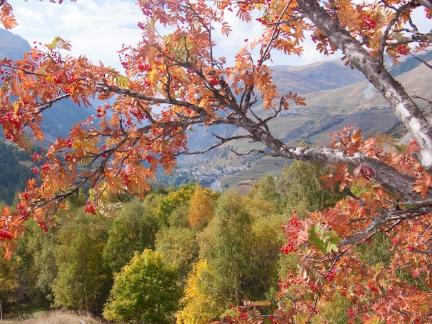 La grave hautes alpes FRANCE