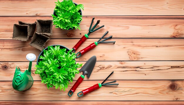 Photo green thumb essentials vue de dessus des outils de jardinage sur le sol en bois préparez-vous à cultiver