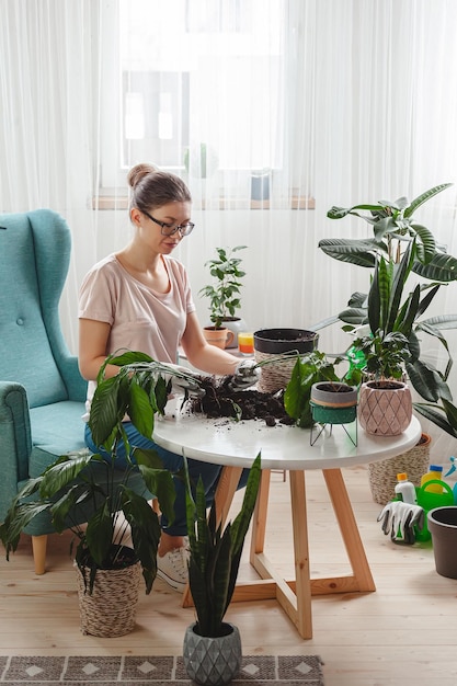 Greffe de plantes femme soins plante d'intérieur et repiquage de plantes dans un pot