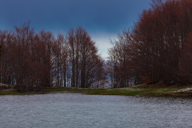 Photo grêle de neige sur le lac calamone reggio emilia italie