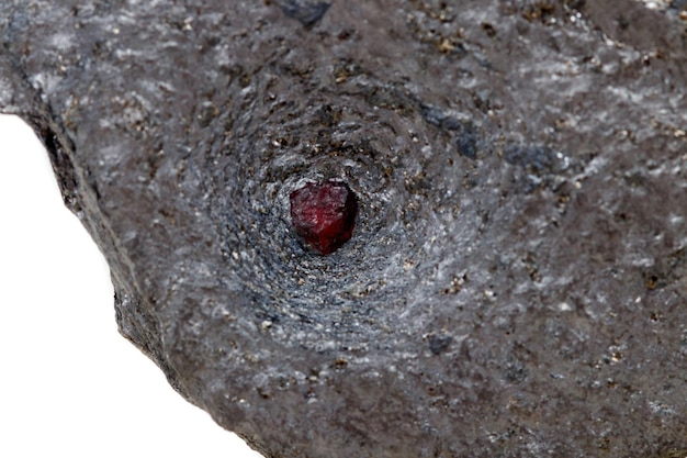 Grenat de pierre minérale de macro dans la roche sur un fond blanc