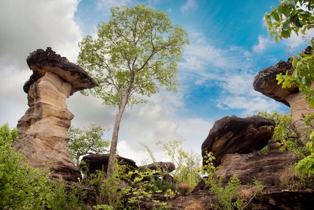 Grès de la grande colonne sur la colline du parc naturel thaïlandais