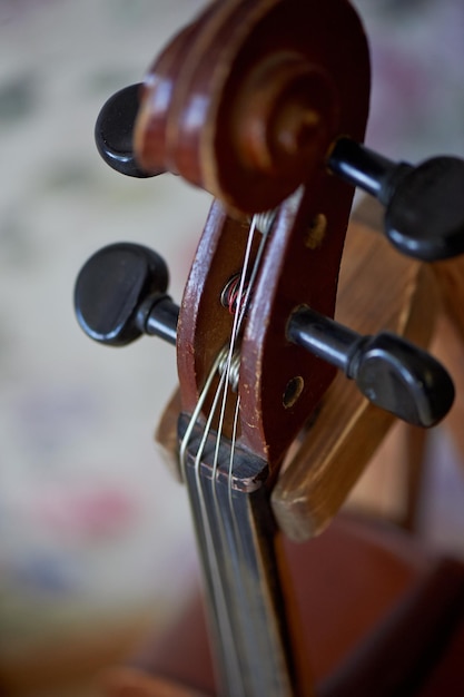 Grif vieux violon brun Soyez sur le fond clair Fond d'écranFermer