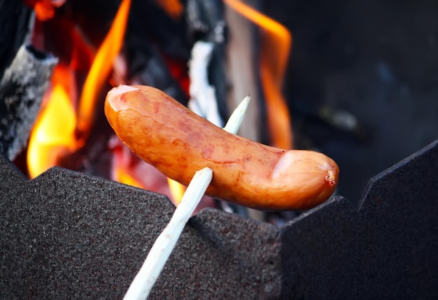 Grillades de saucisses pour un pique-nique en plein air sur le brasier