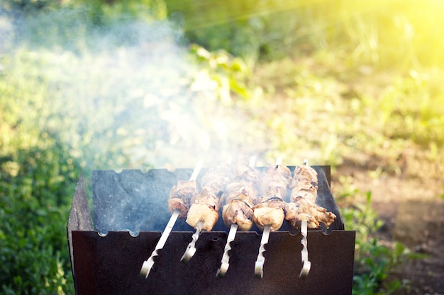 Griller le barbecue dans la nature. Assortiment de viande de poulet et de porc et sur un barbecue préparé pour le dîner de famille estival