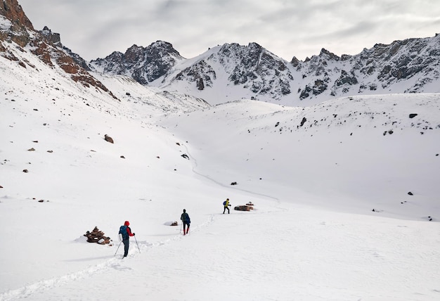 Grimpeurs dans les montagnes