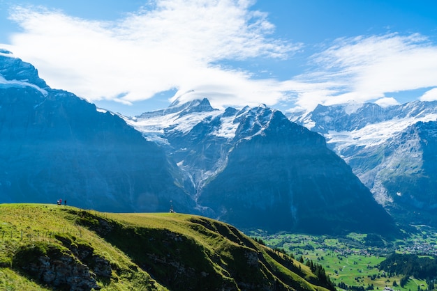 Grindelwald, village, alpes, montagne, suisse