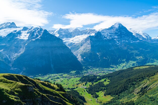 Grindelwald, village, alpes, montagne, suisse