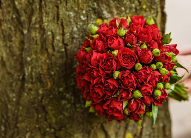 Un gros bouquet de roses rouges