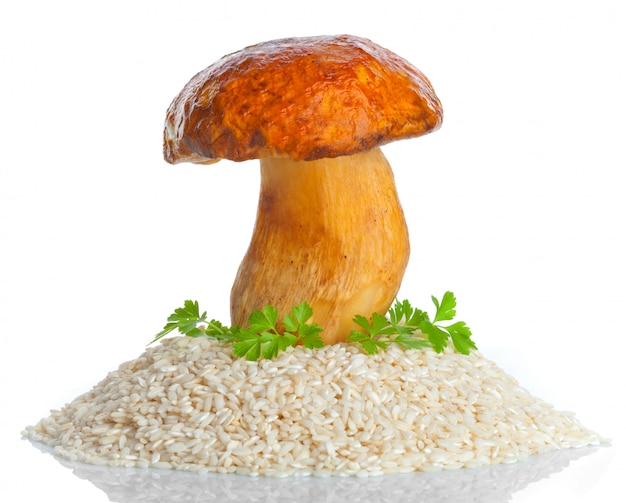 Gros champignon avec du riz cru