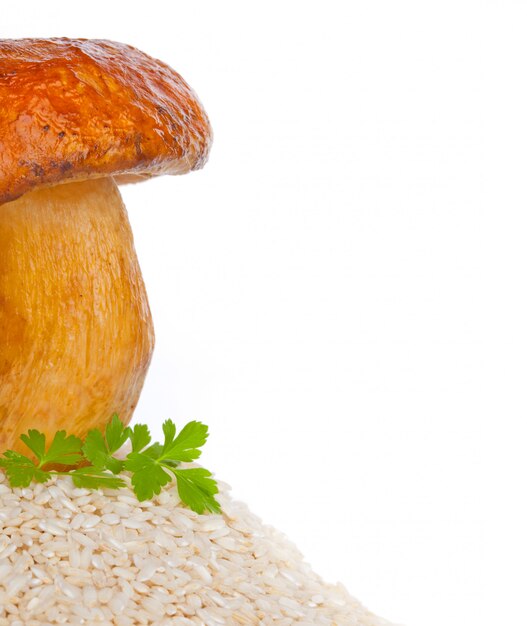 Gros Champignon Avec Du Riz Cru