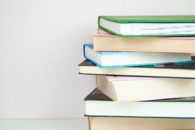 un gros chien est allongé sur le lit avec une tasse, une pile de livres est allongée sur un fond blanc,