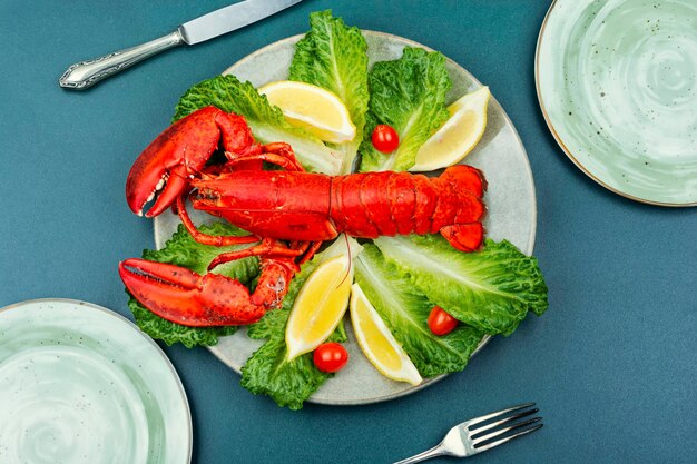 Gros homard rouge entier aux herbes fraîches