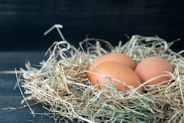 Gros oeufs de poulet brun frais dans le nid de foin sur un fond en bois noir.