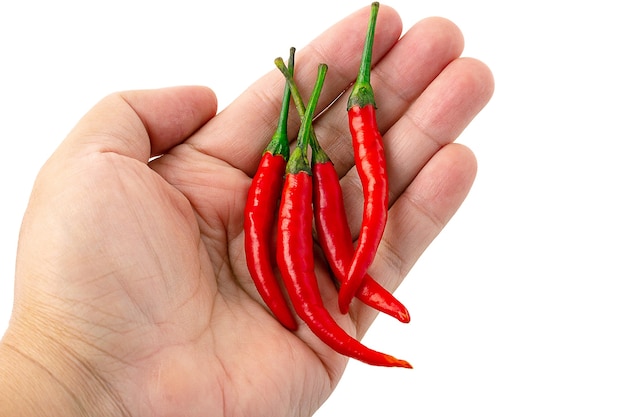 Gros plan de 4 piments rouges avec tige verte sur place isolé sur fond blanc. Groupe de piment rouge. vue de dessus.