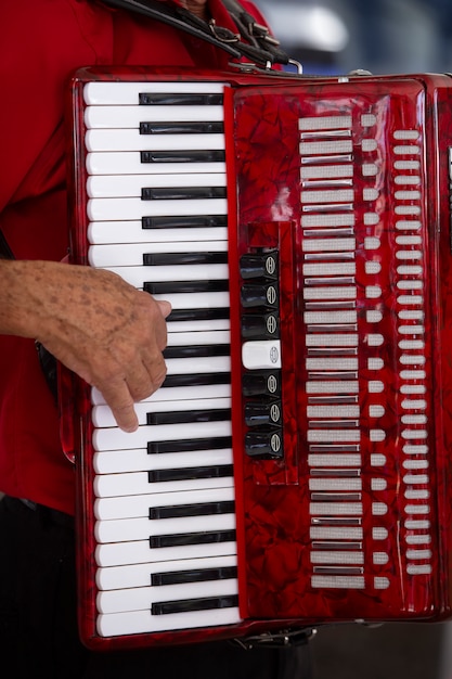 Gros plan de l'accordéoniste et de son instrument