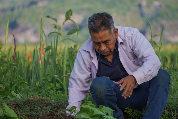 Un gros plan d'un agriculteur hispanique sur sa plantation au Mexique