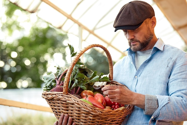 Gros plan d'un agriculteur mature tient un panier avec des légumes frais récoltés en ce moment satisfaits de sa récolte