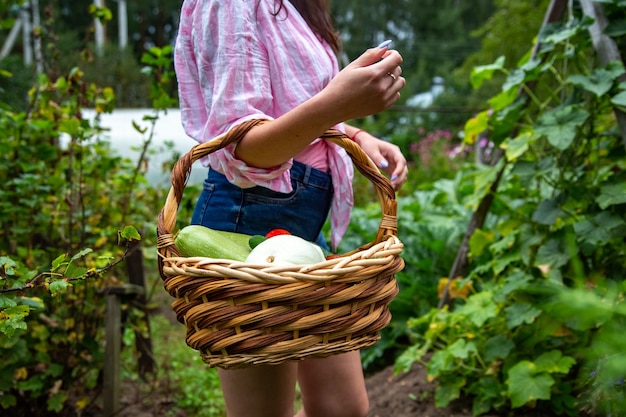 Gros plan d'un agriculteur tenant des légumes fraîchement récoltés sans visage