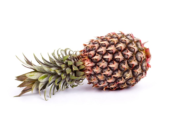 Un gros plan d'ananas frais sur un fond blanc